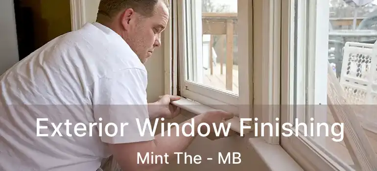 Exterior Window Finishing Mint The - MB