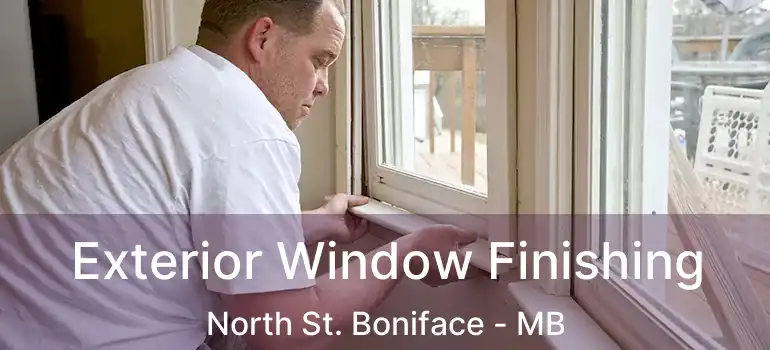  Exterior Window Finishing North St. Boniface - MB
