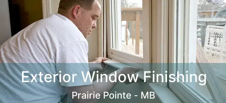  Exterior Window Finishing Prairie Pointe - MB