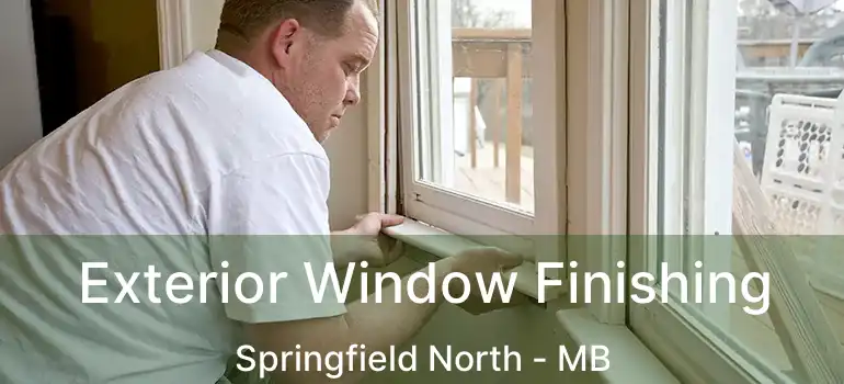  Exterior Window Finishing Springfield North - MB