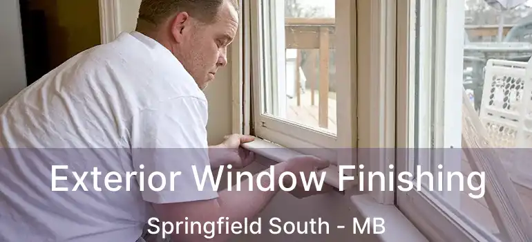  Exterior Window Finishing Springfield South - MB