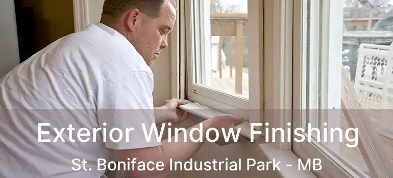  Exterior Window Finishing St. Boniface Industrial Park - MB