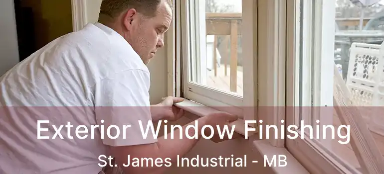  Exterior Window Finishing St. James Industrial - MB