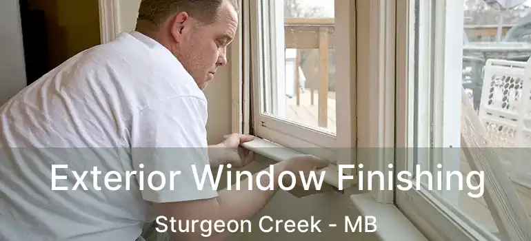  Exterior Window Finishing Sturgeon Creek - MB