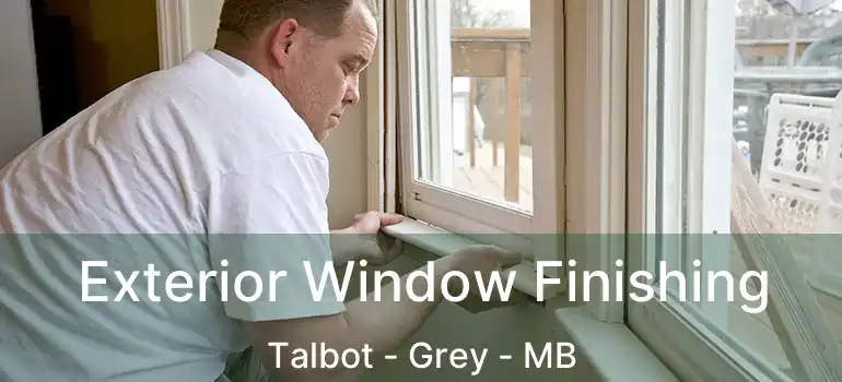  Exterior Window Finishing Talbot - Grey - MB