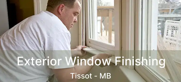  Exterior Window Finishing Tissot - MB