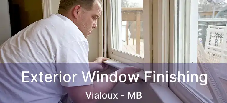  Exterior Window Finishing Vialoux - MB