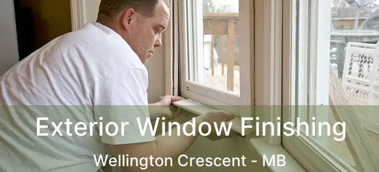  Exterior Window Finishing Wellington Crescent - MB