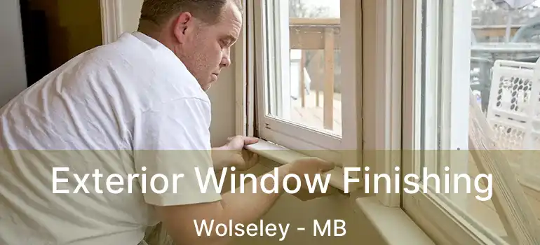  Exterior Window Finishing Wolseley - MB