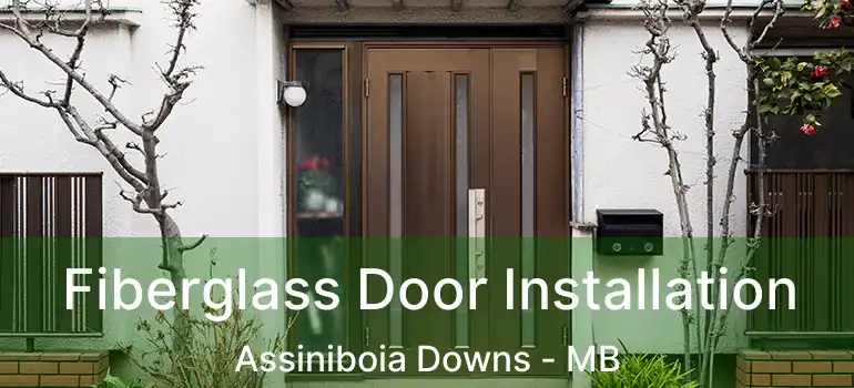  Fiberglass Door Installation Assiniboia Downs - MB