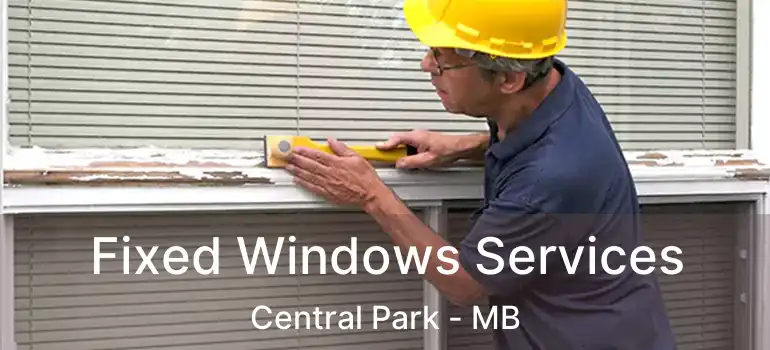  Fixed Windows Services Central Park - MB