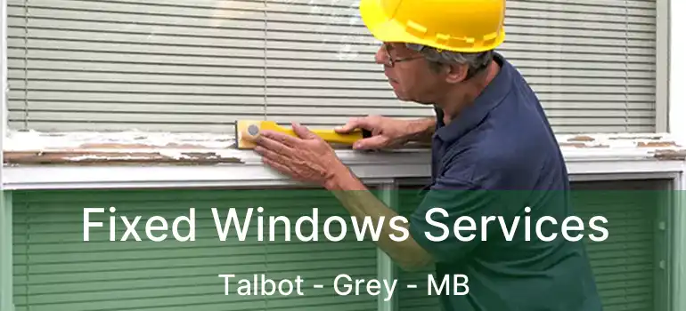  Fixed Windows Services Talbot - Grey - MB