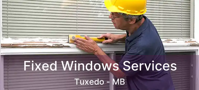  Fixed Windows Services Tuxedo - MB