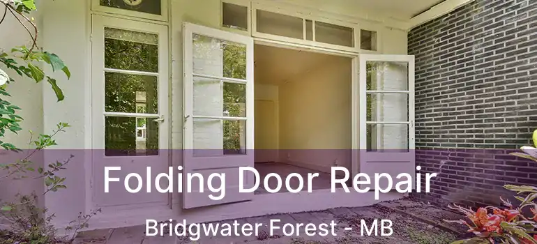  Folding Door Repair Bridgwater Forest - MB