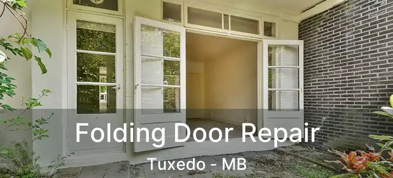  Folding Door Repair Tuxedo - MB