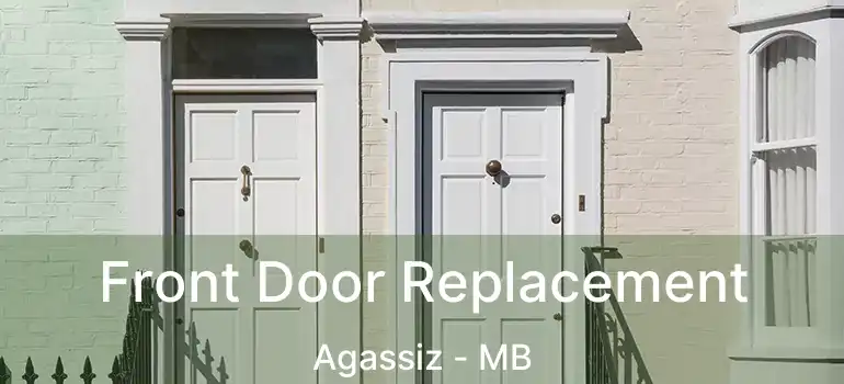  Front Door Replacement Agassiz - MB