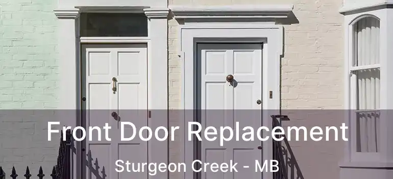 Front Door Replacement Sturgeon Creek - MB