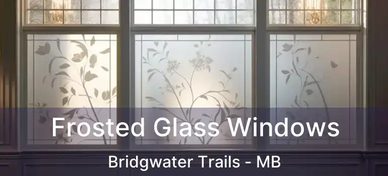  Frosted Glass Windows Bridgwater Trails - MB