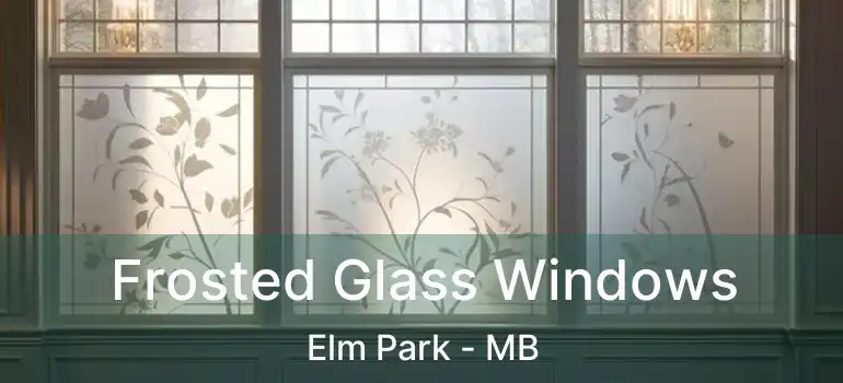  Frosted Glass Windows Elm Park - MB