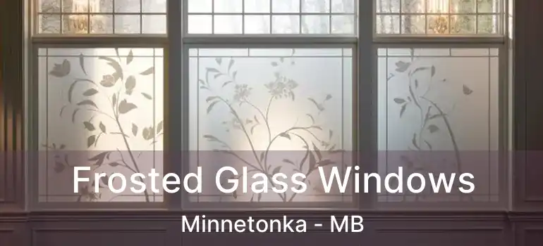  Frosted Glass Windows Minnetonka - MB