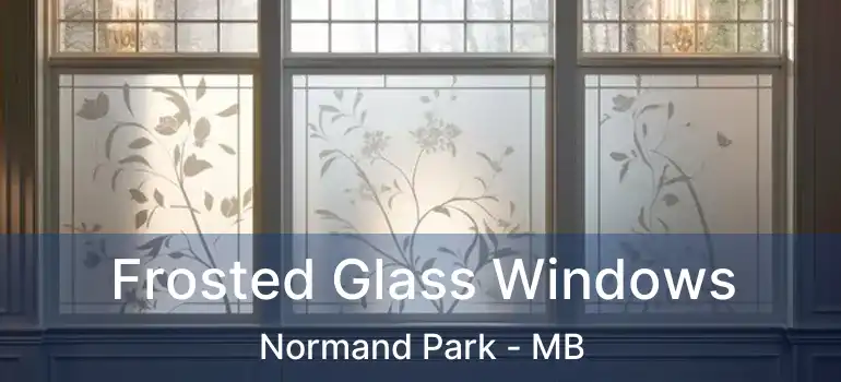  Frosted Glass Windows Normand Park - MB