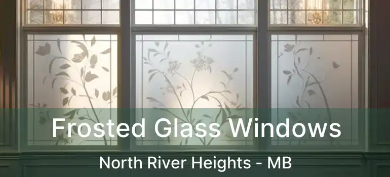  Frosted Glass Windows North River Heights - MB