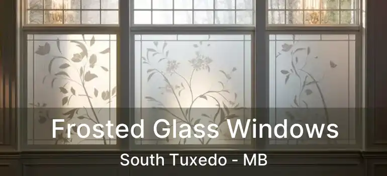  Frosted Glass Windows South Tuxedo - MB