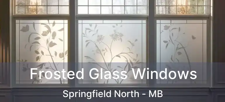  Frosted Glass Windows Springfield North - MB
