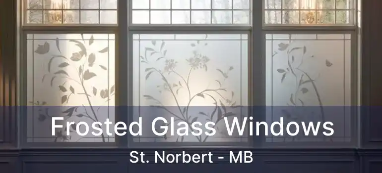  Frosted Glass Windows St. Norbert - MB