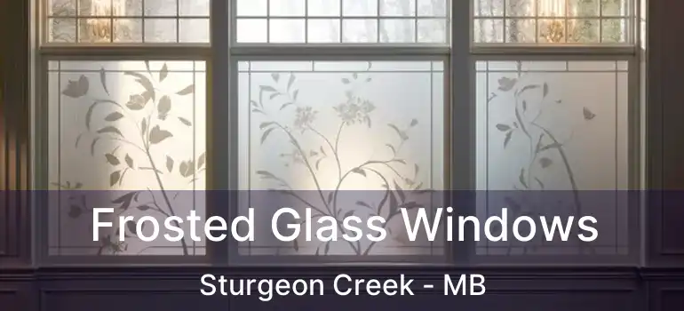  Frosted Glass Windows Sturgeon Creek - MB