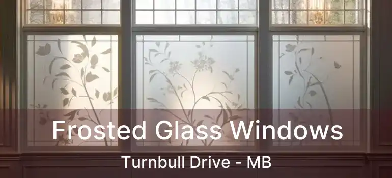  Frosted Glass Windows Turnbull Drive - MB