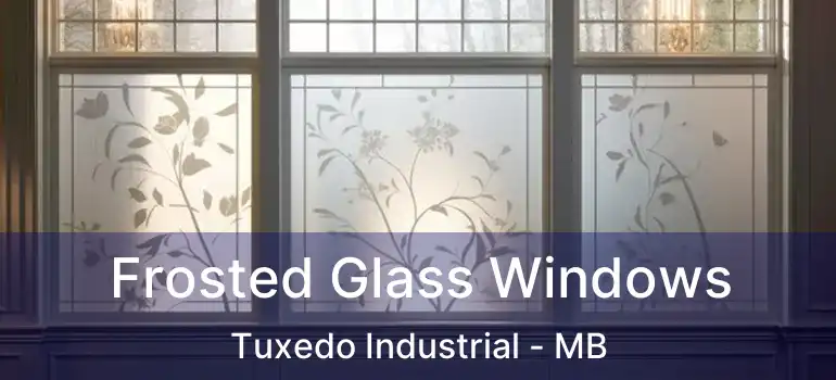  Frosted Glass Windows Tuxedo Industrial - MB