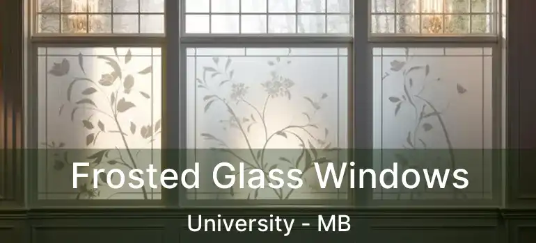  Frosted Glass Windows University - MB