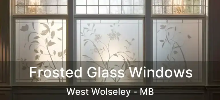  Frosted Glass Windows West Wolseley - MB