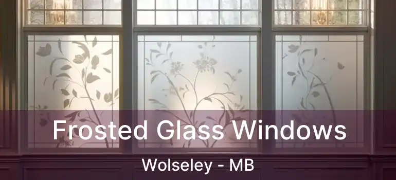 Frosted Glass Windows Wolseley - MB