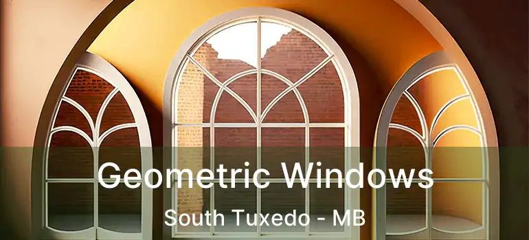  Geometric Windows South Tuxedo - MB