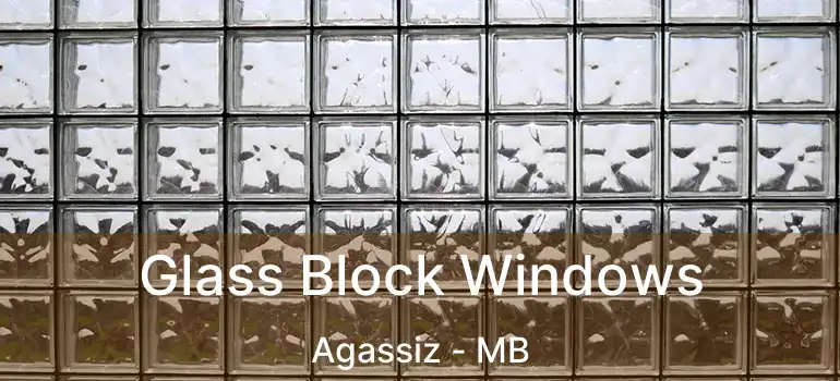  Glass Block Windows Agassiz - MB