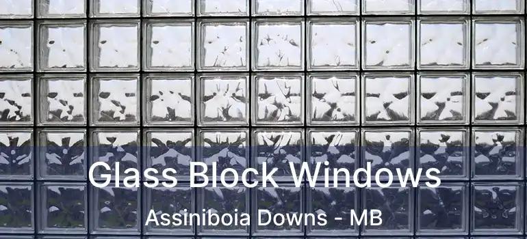  Glass Block Windows Assiniboia Downs - MB