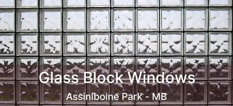  Glass Block Windows Assiniboine Park - MB
