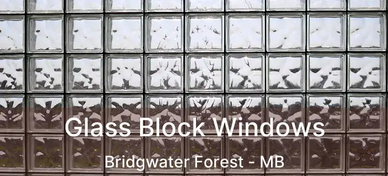  Glass Block Windows Bridgwater Forest - MB