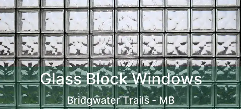  Glass Block Windows Bridgwater Trails - MB