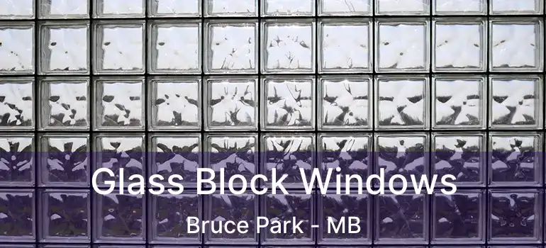  Glass Block Windows Bruce Park - MB