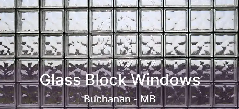  Glass Block Windows Buchanan - MB