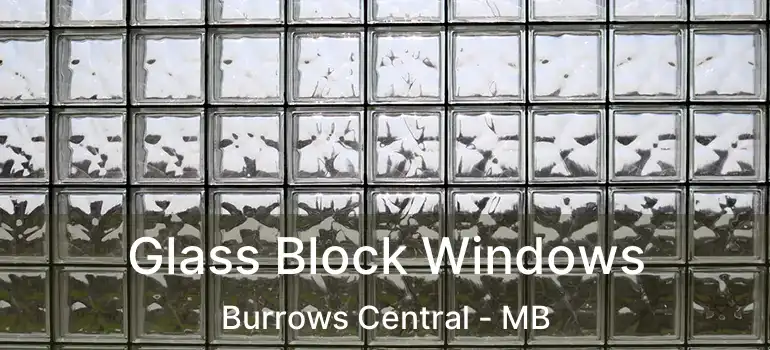  Glass Block Windows Burrows Central - MB