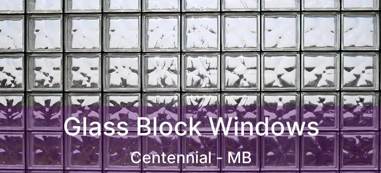  Glass Block Windows Centennial - MB