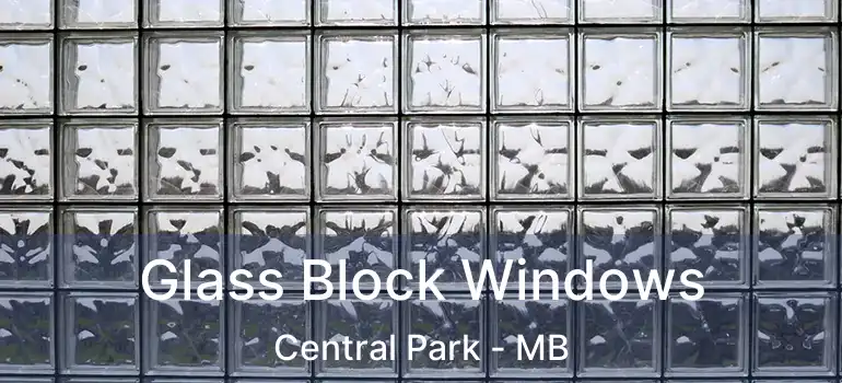  Glass Block Windows Central Park - MB