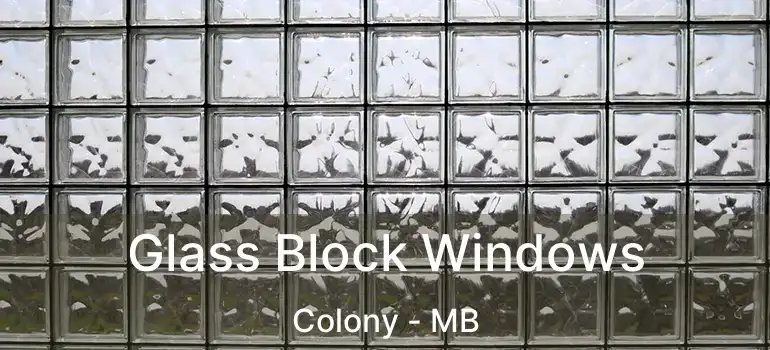  Glass Block Windows Colony - MB