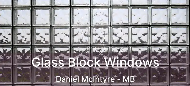  Glass Block Windows Daniel McIntyre - MB