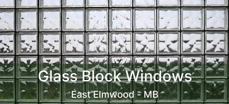  Glass Block Windows East Elmwood - MB