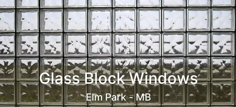  Glass Block Windows Elm Park - MB